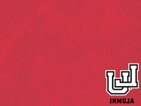 LU Alumni Zoom Background 13